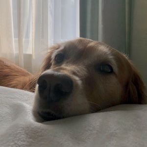 Meet your Posher, Leanna